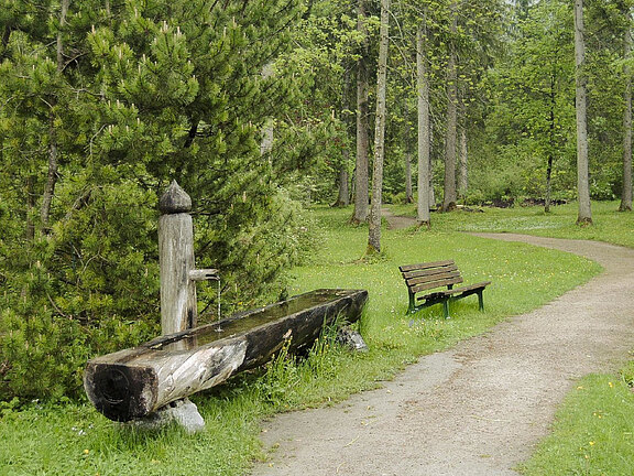Spaziergang_Abend.jpg  